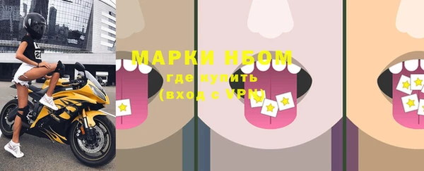 стафф Грязовец