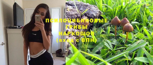 PSILOCYBIN Волоколамск