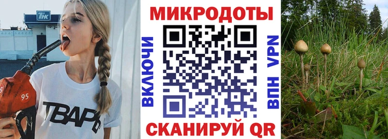 Галлюциногенные грибы мухоморы  Волосово 